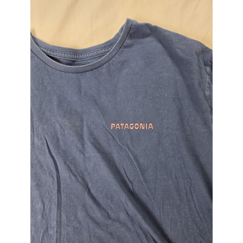 Patagonia Shirt Mens Large Blue Organic Cotton Dolphin Kayak Back Graphic Tee